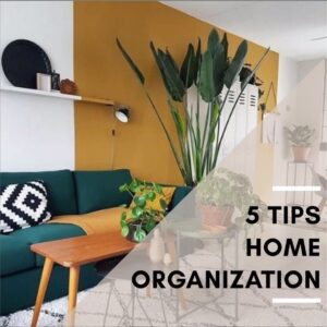 Read more about the article 5 Tips for Keeping Your House in Order